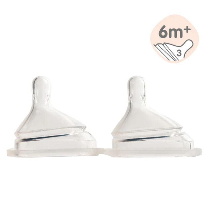 Hegen Teat 2 Pack Fast Flow (6 Months+)