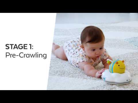 Skip Hop Explore & More Crawl Toy