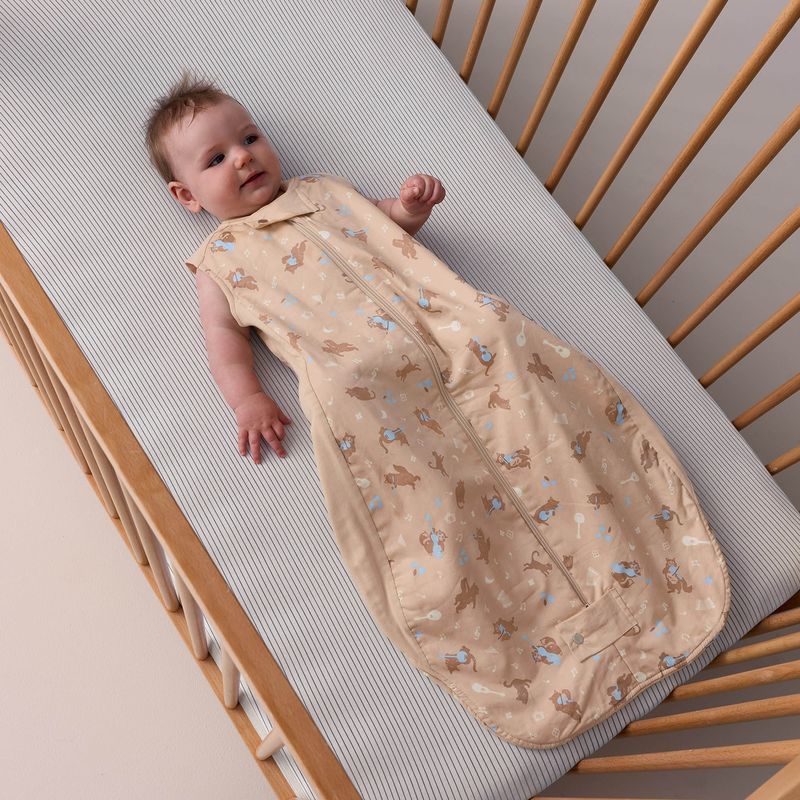 ErgoPouch Premium Sleeping Bag 0.3 Tog 8-24m