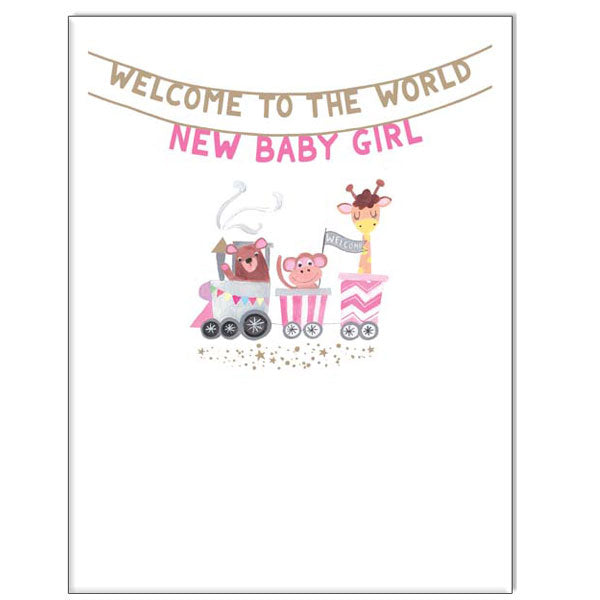 Waterlyn Paper Salad New Baby Girl Pink Bunting Greeting Card PSL_LS2010