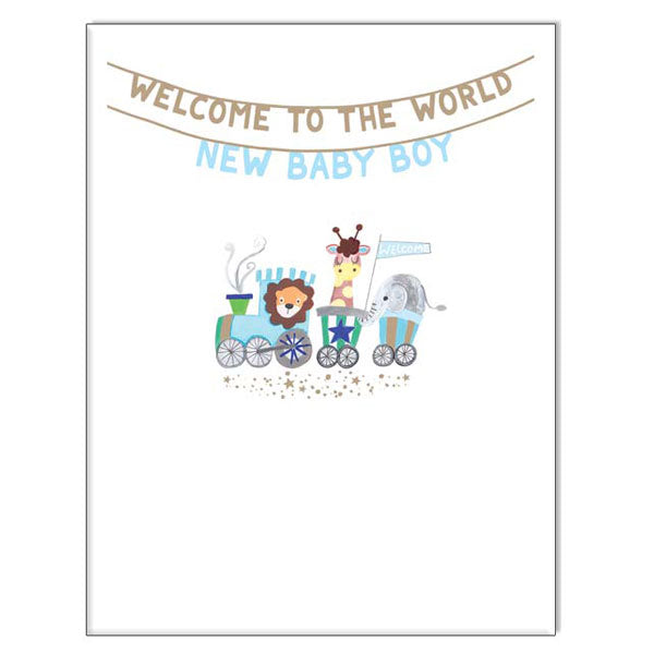 Waterlyn Paper Salad Baby Boy Blue Bunting Greeting Card PSL_LS2011