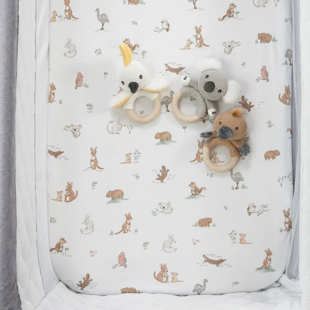 Living Textiles Bedside Sleeper Fitted Sheets 2pk Australiana