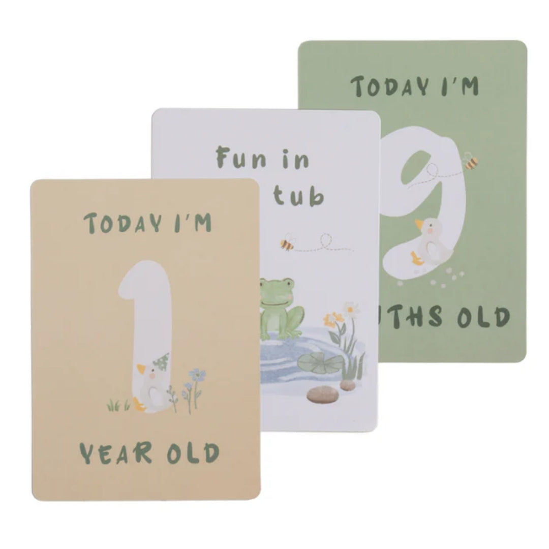 Living Textiles Milestone Cards Goosey Goosey