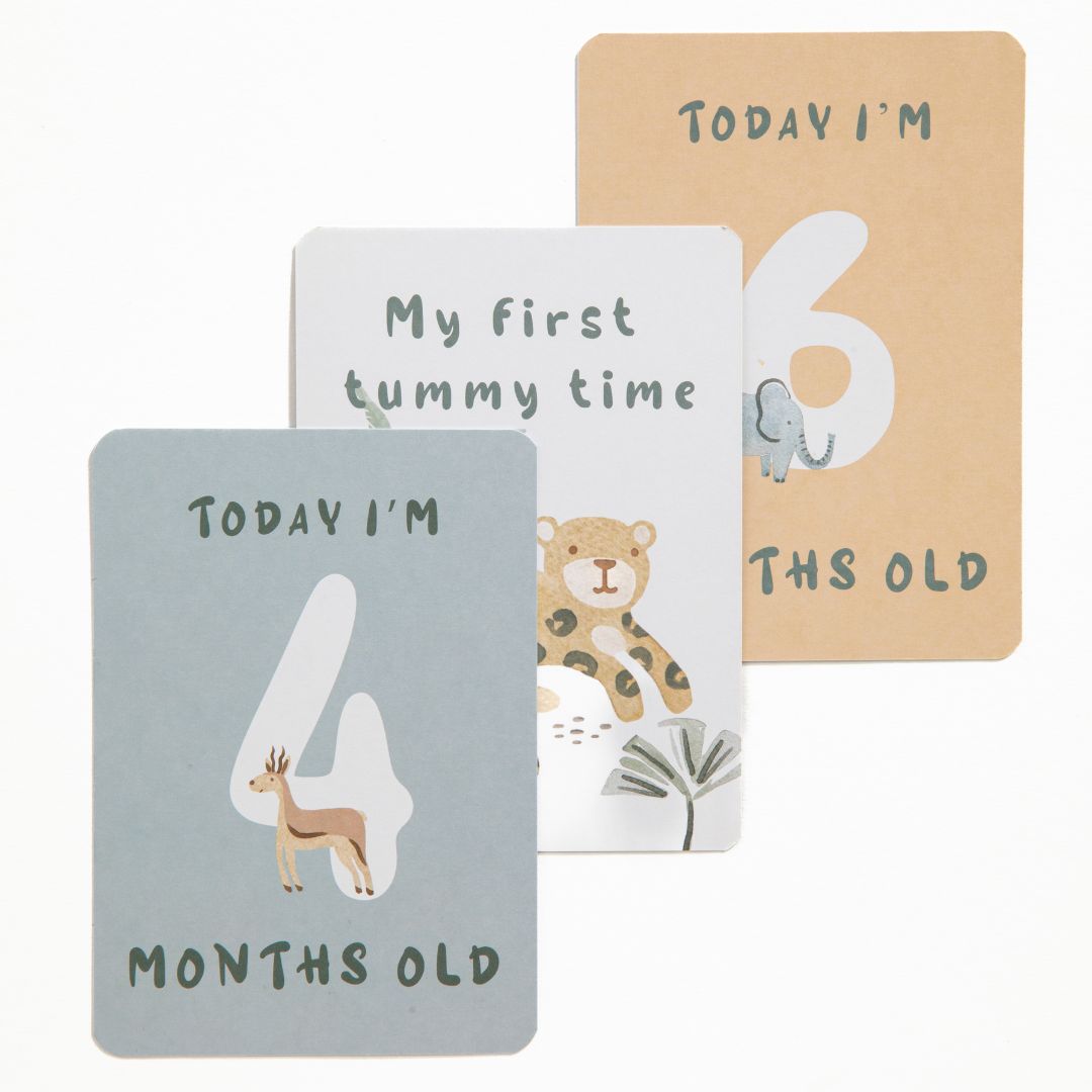 Living Textiles Milestone Cards Wild Safari