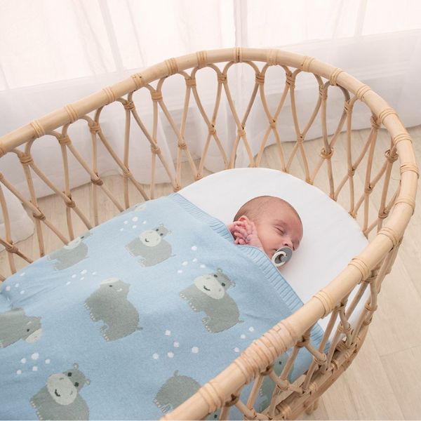 Living Textiles 100% Cotton Whimsical Hippo Baby Blanket Blue