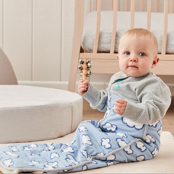 Love To Dream Sleep Bag 2.5Tog Daydream Blue 18-36m