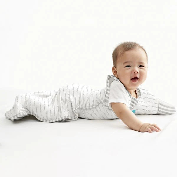 Love To Dream Swaddle Up Transition Bag 1.0Tog