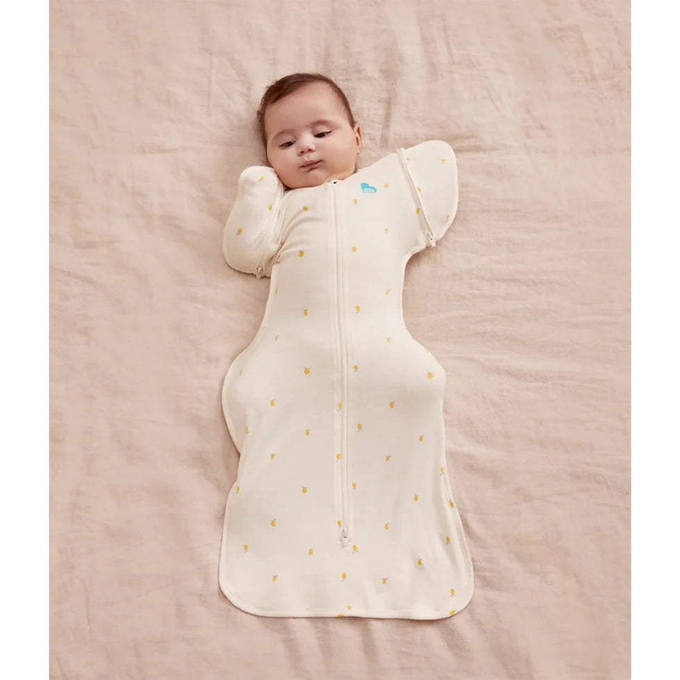 Love To Dream Swaddle Up Transition Bag Viscose from Bamboo 1.0Tog