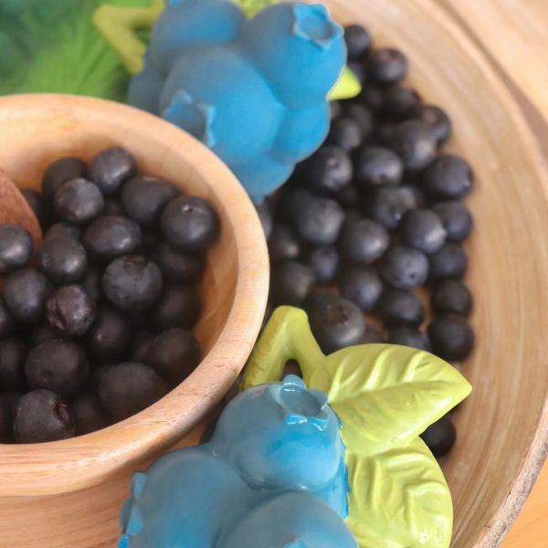 Oli & Carol Jerry the Blueberry Teether
