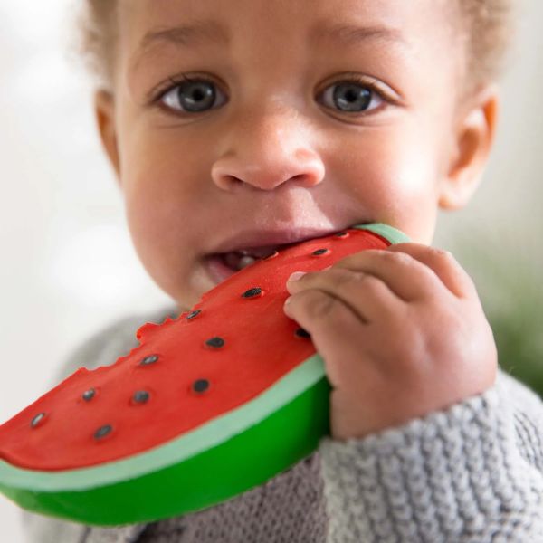 Oli & Carol Wally the Watermelon Teether