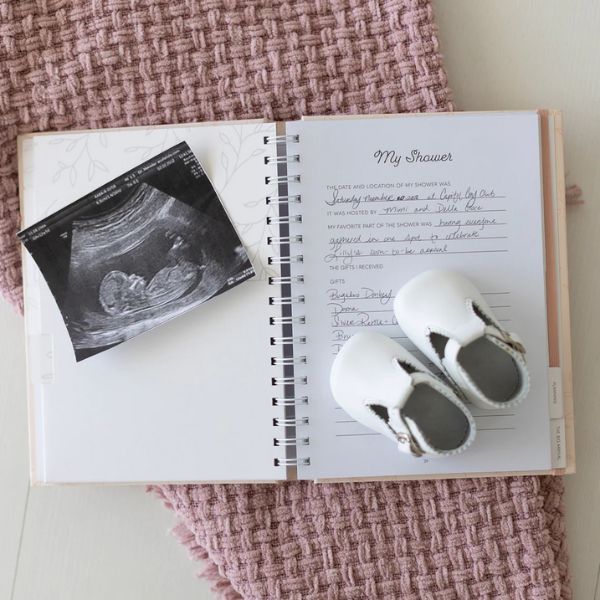 Pearhead Pregnancy Journal Blush
