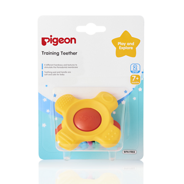 Pigeon Training Teether Step 2