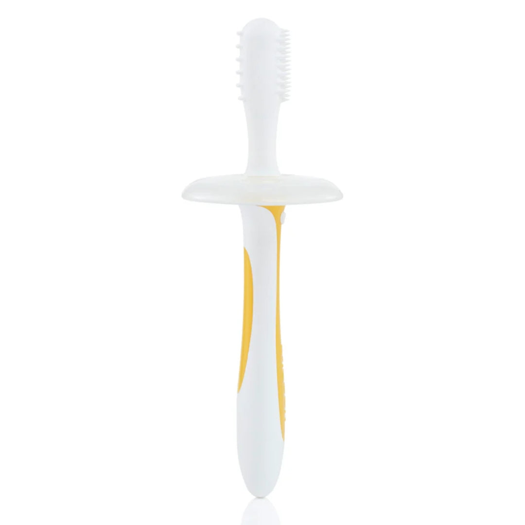 Pigeon Training Toothbrush - Step 1