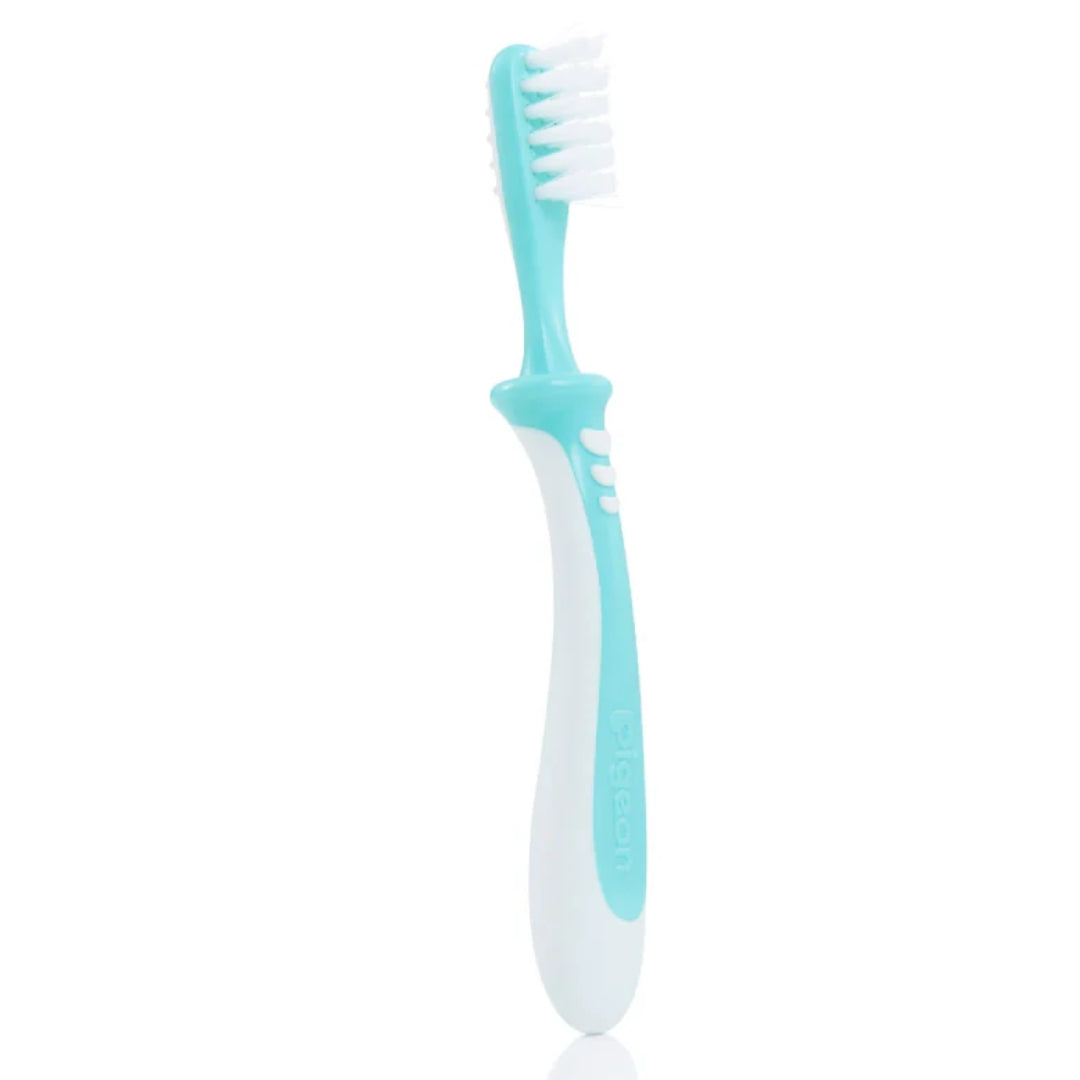 Pigeon Training Toothbrush - Step 3