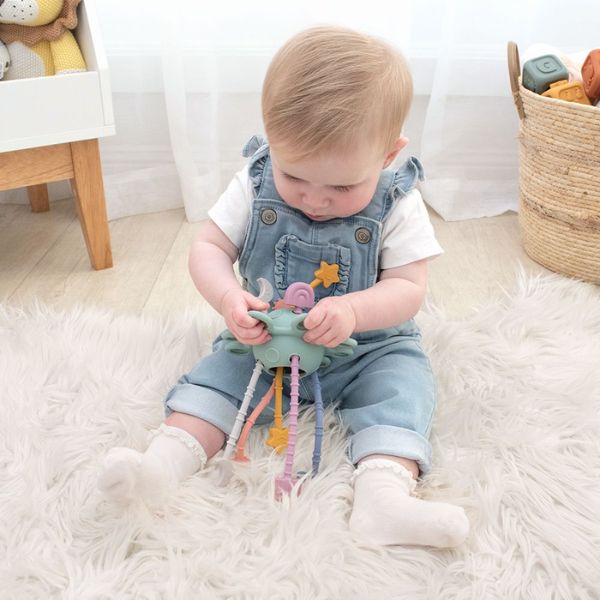 Playground Silicone Zippy Activity Toy