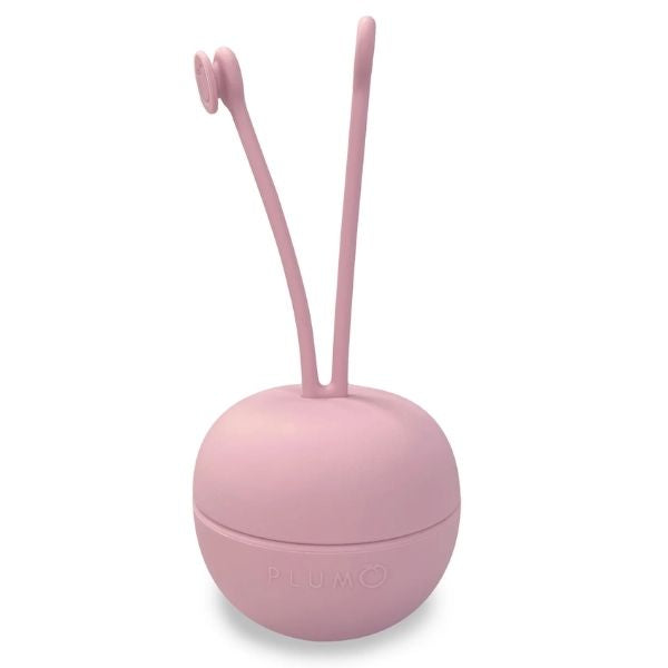 PLUM Soother Storage Pod Dusty Berry