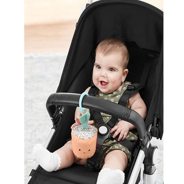 Skip Hop Garden Oasis Stroller Toy