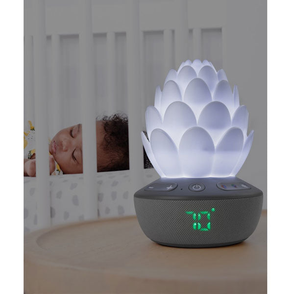Skip Hop Cry-Activated Soother Terra