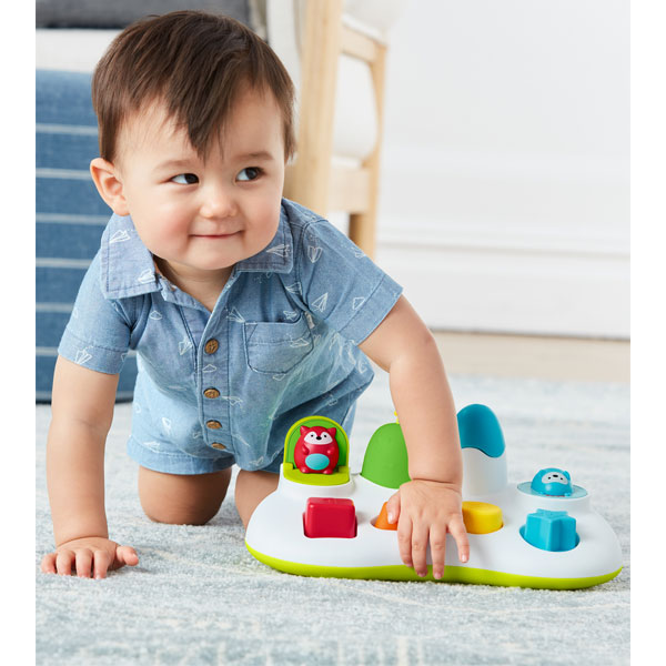 Skip Hop Explore & More Pop & Play