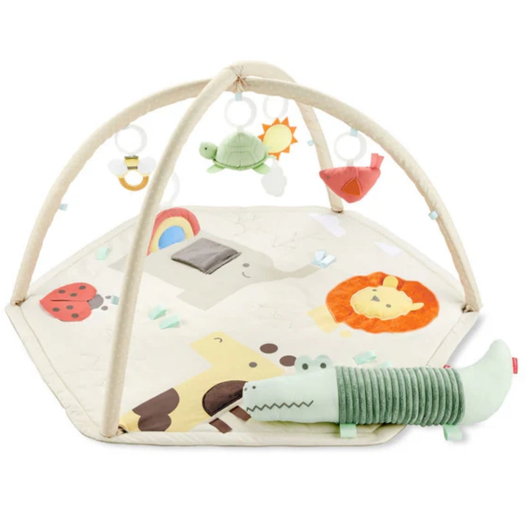 Skip Hop Geometric Wonders Activity Gym