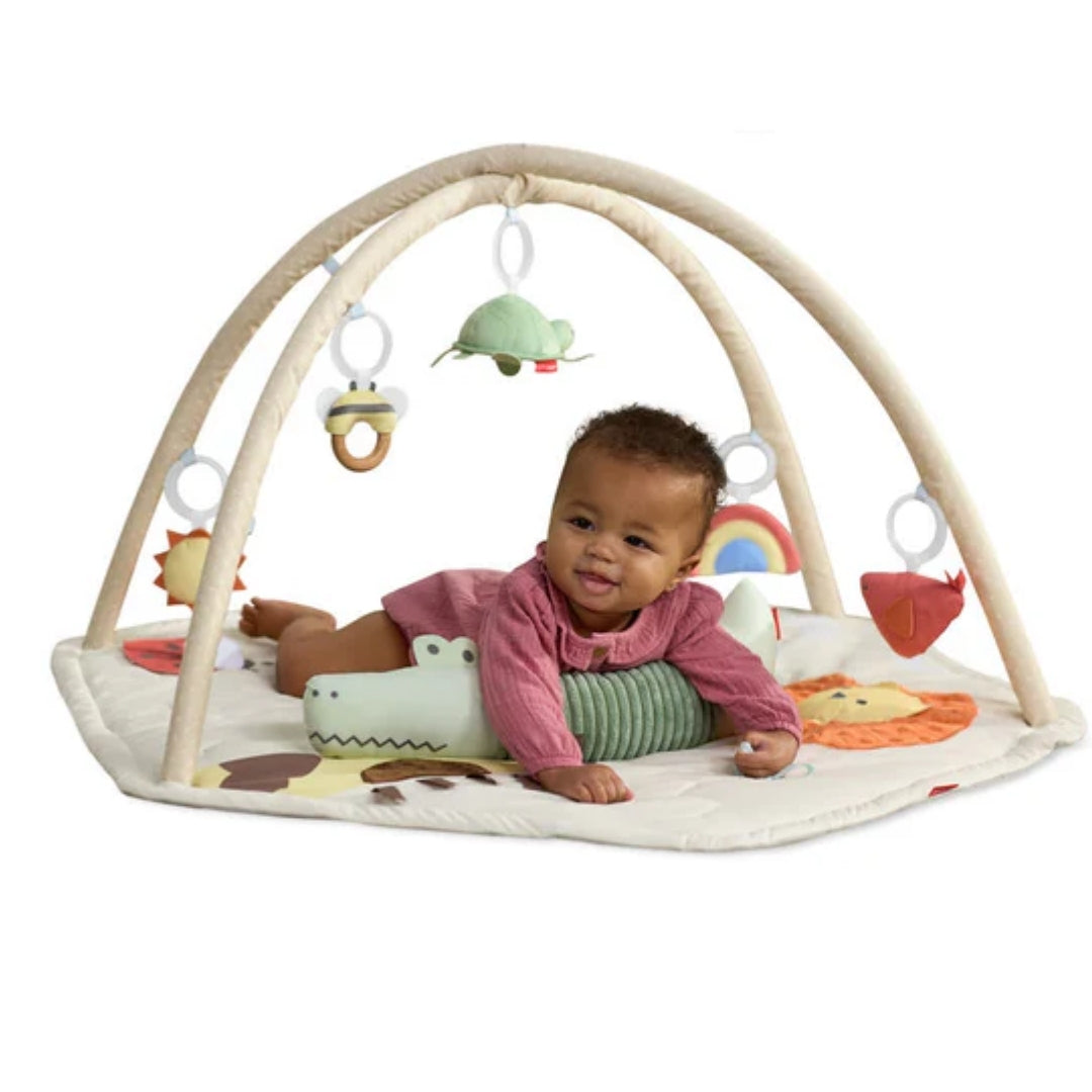 Skip Hop Geometric Wonders Activity Gym