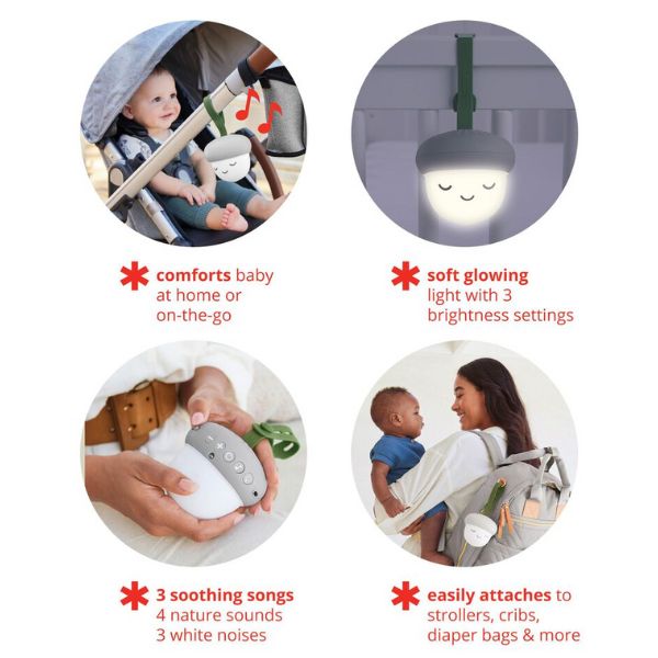 Skip Hop Glow With Me Portable Acorn Sound Machine