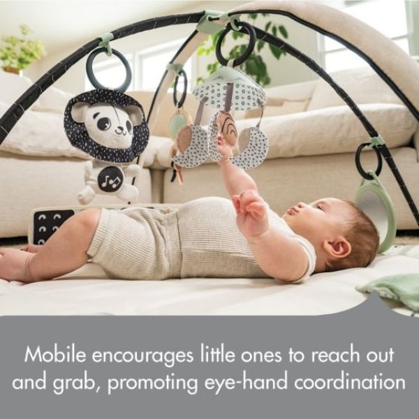 Tiny Love Black & White Decor Development Gymini