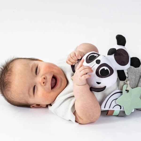 Tiny Love Black & White Decor Panda Rattle Toy