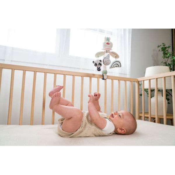 Tiny Love Black & White Decor Take Along Mobile