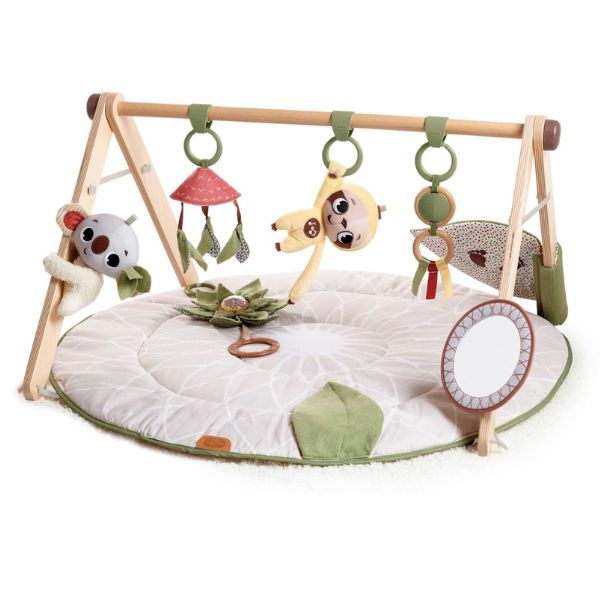 Tiny Love Boho Chic Luxe Gymini