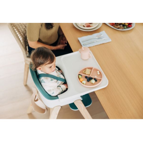 UPPAbaby Ciro High Chair Emrick (Spruce Green)